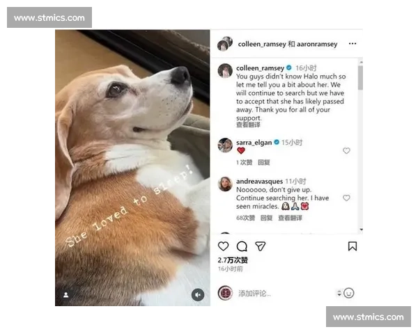 拉姆塞悬赏万美金寻犬 Halo，三周搜寻仍盼归期